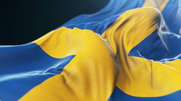 istock National Flag of Sweden 1295926717