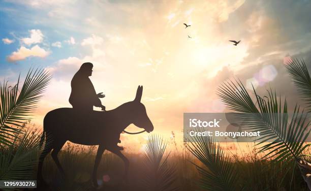 Silhouette Jesus Christ Riding Donkey On Meadow Sunset Stock Photo - Download Image Now