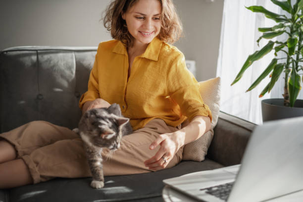повседневная женщина в желтой рубашке, работающая на ноутбуке со своей кошкой на диване, сидя вместе в современной комнате с окном анг зеле� - domestic cat computer laptop kitten стоковые фото и изображения