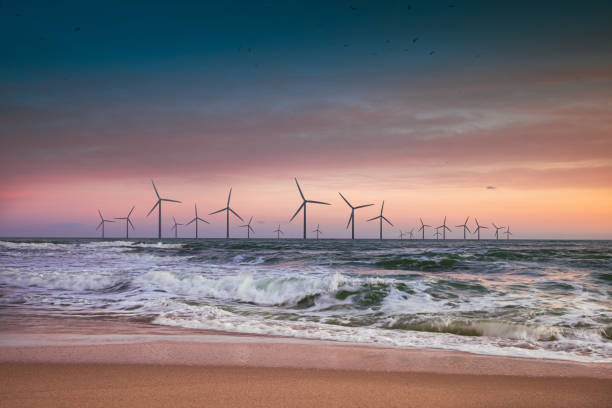 Wind turbines motion landscape sunset sea