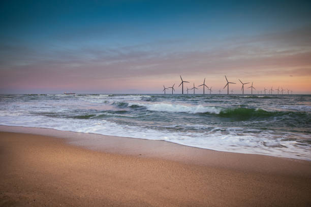Wind turbines motion landscape sunset sea