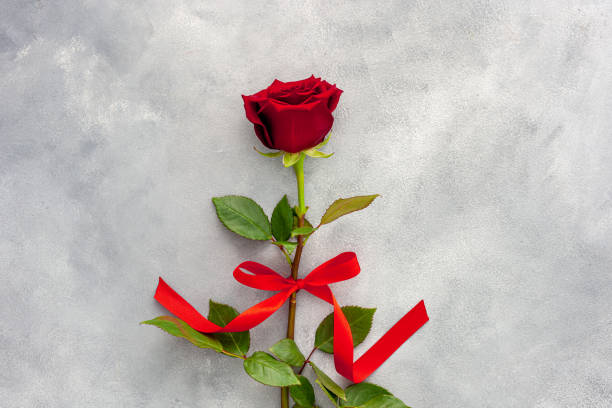 istock Valentine's Day. Red rose with a ribbon 1295935464