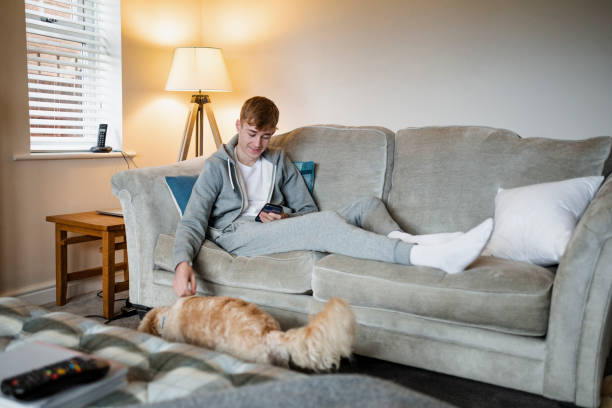 teenage boy usando un teléfono inteligente - hartlepool fotografías e imágenes de stock