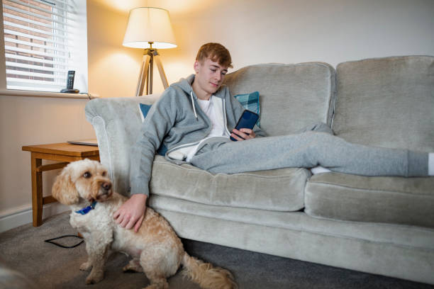 Relaxing on the Sofa One Teenage boy only lying down on the sofa in his living room relaxing. He is using a smartphone and stroking his dog. hartlepool photos stock pictures, royalty-free photos & images