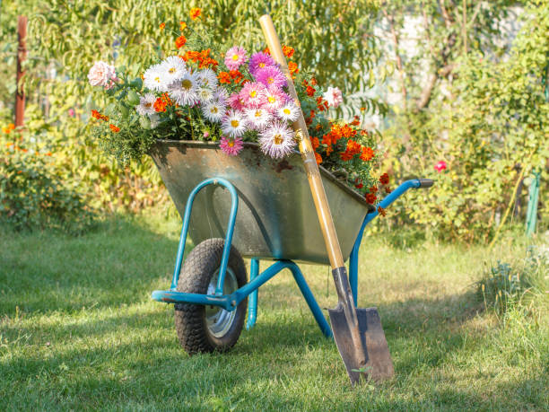 istock Summer garden with wheelbarrow on green grass. 1295947902