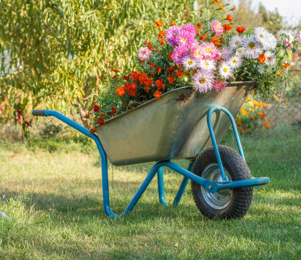 istock Summer garden with wheelbarrow on green grass. 1295947907