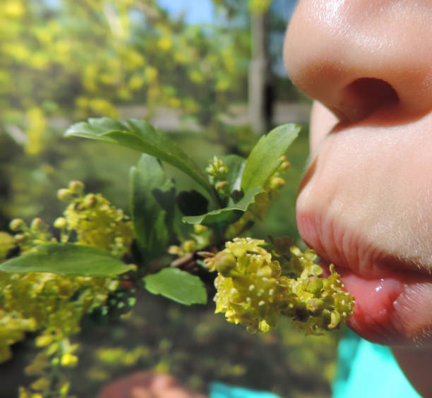 istock pouting lips, reaching for a flowering branch 1295949300