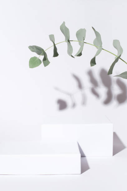 istock White background for cosmetic products. 1295950854