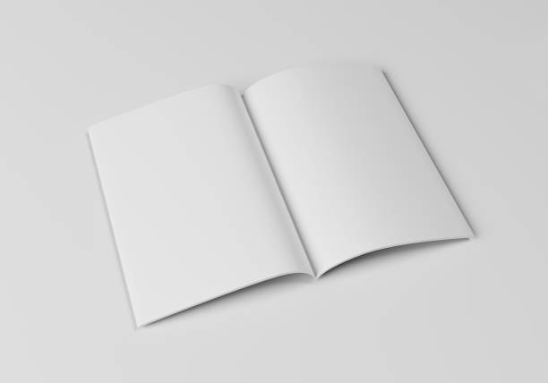istock Blank magazine open in half top view. 3D illustration 1295950887