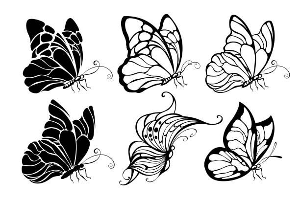 Seated butterflies Set artistically drawn, contoured, sitting, black butterflies on white background. Butterflies. Design element. butterfly tattoo stencil stock illustrations