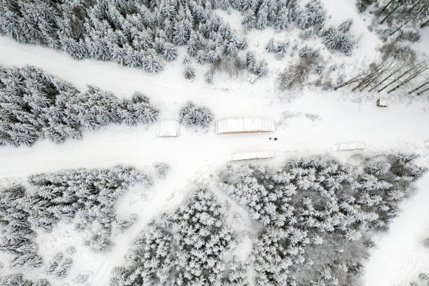 istock Aerial view of forest covered with snow 1295951546