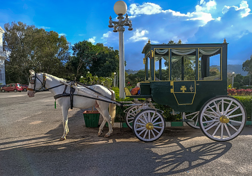 A Classic picture of a Horse Carriage in Vintage style used for Joy rides for the tourists visiting the National landmark Lalith Mahal Summer Palace at Mysuru,India.