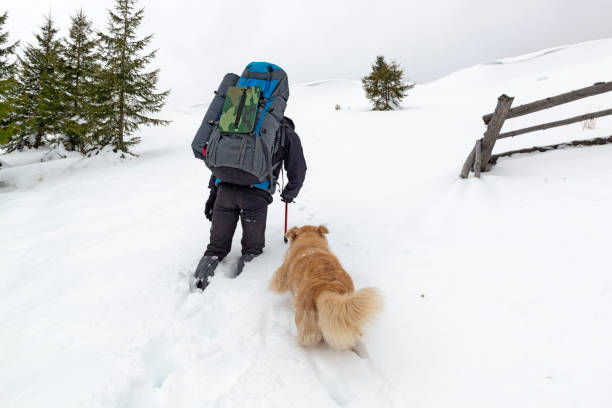istock Hiker with a dog walking through a deep snow in the mountains 1295954460