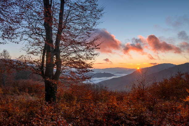 magischer sonnenuntergang hoch in den bergen. - magic hour stock-fotos und bilder