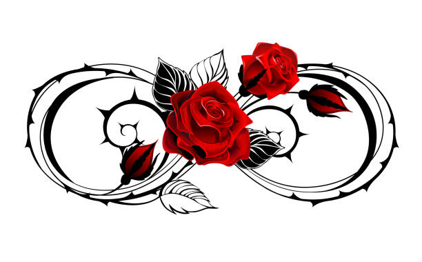 35 Black Rose Accord Illustrations & Clip Art - iStock