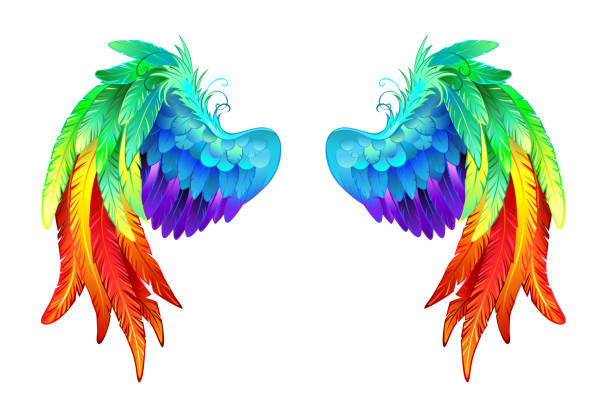 Bright rainbow wings Artistically drawn bright, detailed rainbow wings on white background. costume wing stock illustrations