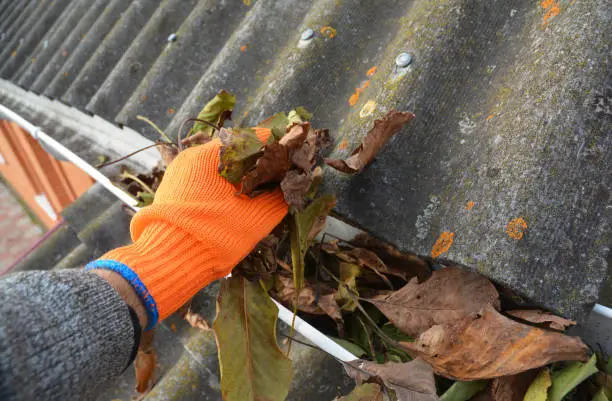 A man in gloves is cleaning a blocked rain gutter attached to the asbestos roof by removing fallen leaves, debris, dirt, and moss to avoid roof gutter problems and water damage.