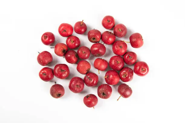 Red Hawthorn Berries isolated on white background close-up