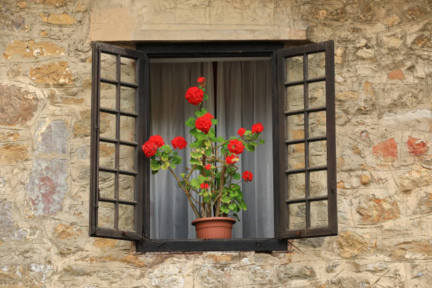 Window with grating and flowers