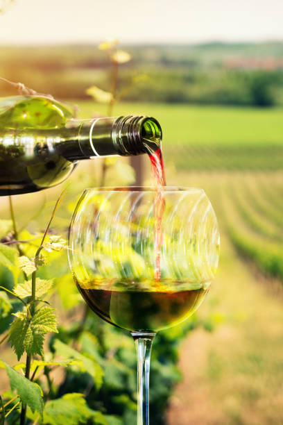 istock African man pouring red wine 1295962819