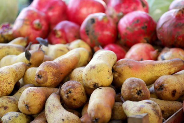 istock Autumn fruits background 1295964456