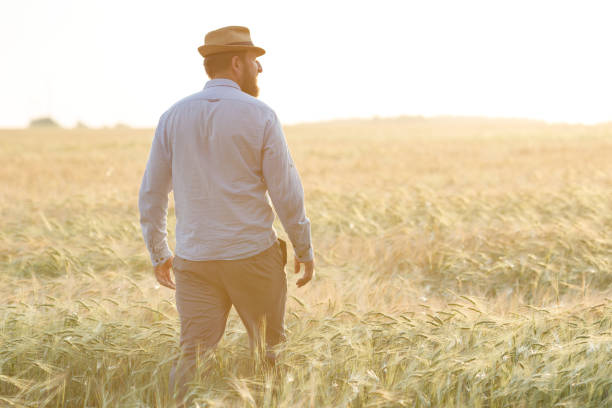 istock an elderly bearded man stands in a field looking at the wheat harvest 1295967991