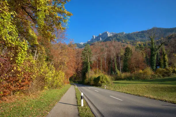 Incredible beautiful colors in the forest in Planken in Liechtenstein November 11,2020