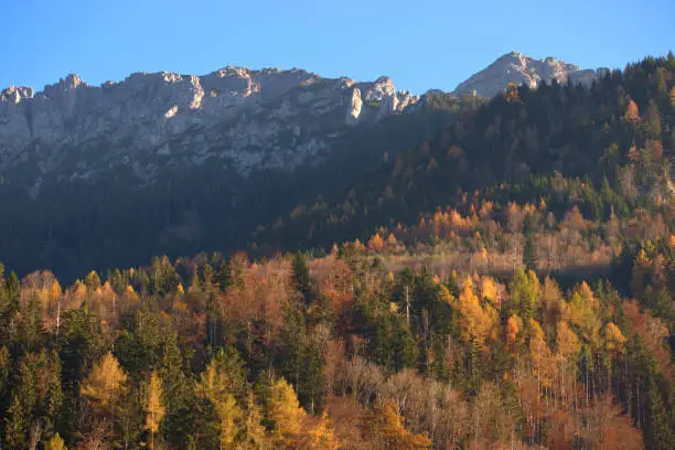 Fascinating mountain scenery surrounded by colorful trees in Planken in Liechtenstein November 11,2020
