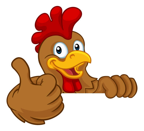 Chicken Rooster Cockerel Bird Cartoon Character A chicken rooster cockerel bird cartoon character peeking over a sign and giving a thumbs up chicken thumbs up design stock illustrations
