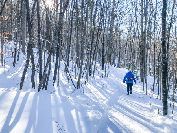 istock Woman walking in forest 1295972375