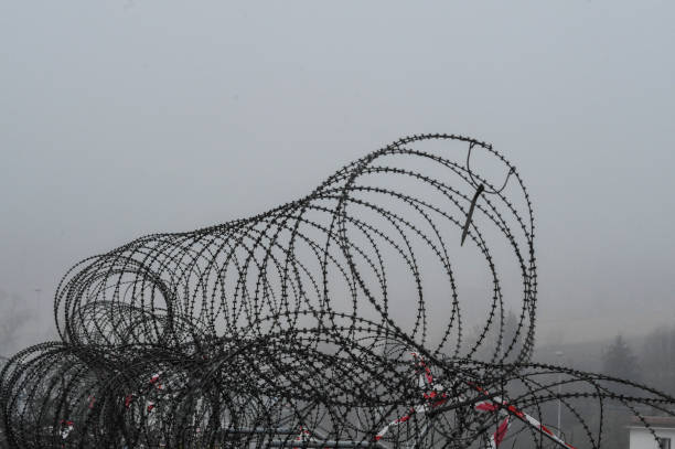istock barbed wire fence at the border 1295973655