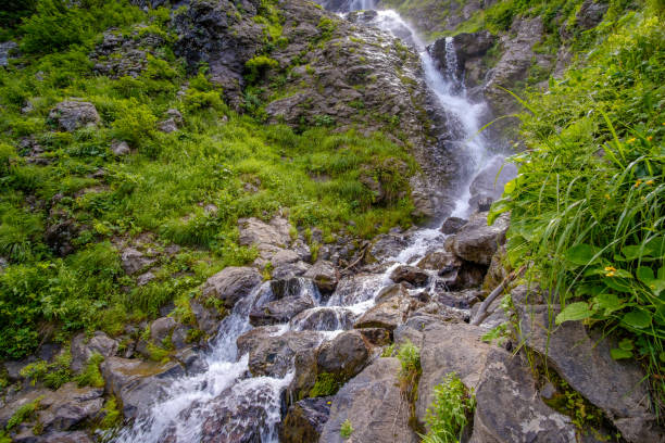 widok na dziki wodospad górskiej rzeki na kaukazie. - sochi hill tree wet zdjęcia i obrazy z banku zdjęć