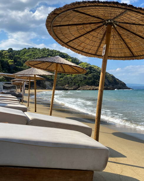 istock Beach bed and umbrella next to the sea 1295976328