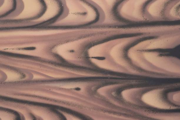 istock wood grain on wood boards 1295976372