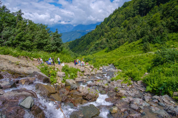 ludzie odwiedzają wodospady w górach kaukaskich. - sochi hill tree wet zdjęcia i obrazy z banku zdjęć