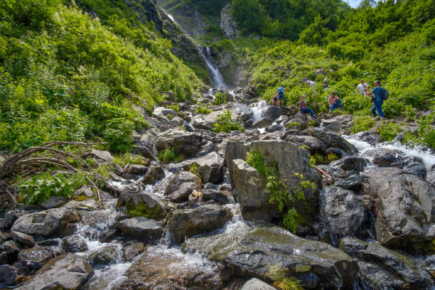 ludzie odwiedzają wodospady w górach kaukaskich. - sochi hill tree wet zdjęcia i obrazy z banku zdjęć