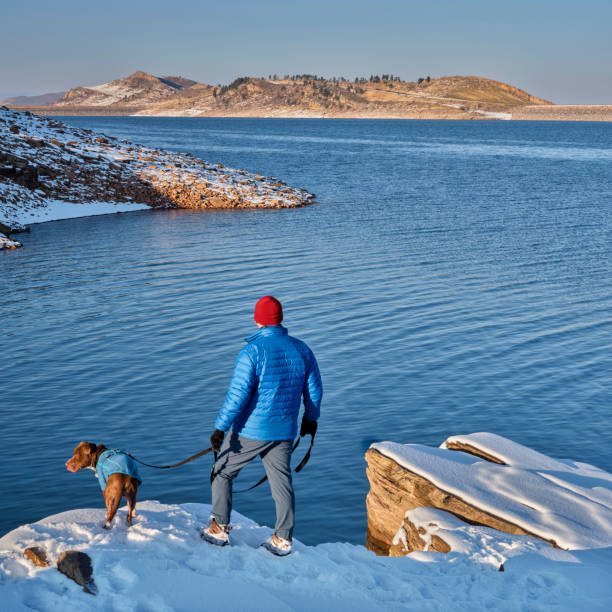 wanderer mit pitbull hund am ufer des sees am fuße der rocky mountains - fort collins reservoir lake water stock-fotos und bilder