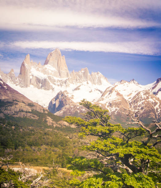 istock mount fitz roy in Patagonia 1295981733