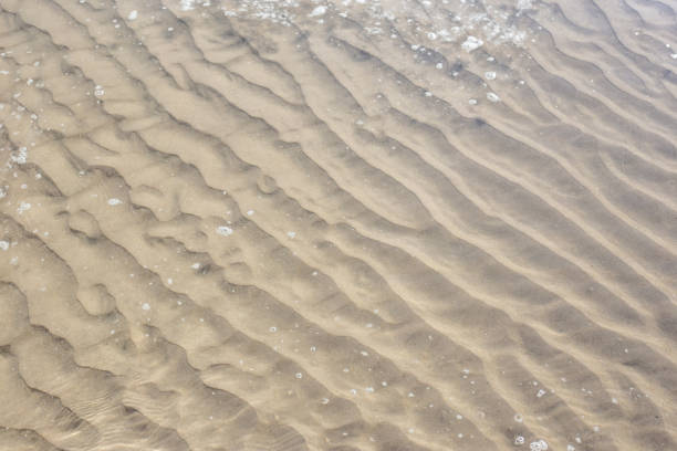istock Close up of sand beach pattern texture under transparency clear water for background 1295984434