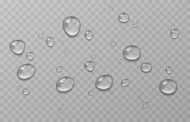 Vector illustration of Vector water drops. Drops, condensation on the window, on the surface. Realistic drops on an isolated transparent background.