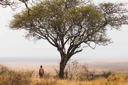 Young woman with backpack resting near the big lonely tree watching over the horizon of the dramatic landscapes of Tanzania wilderness - East Africa