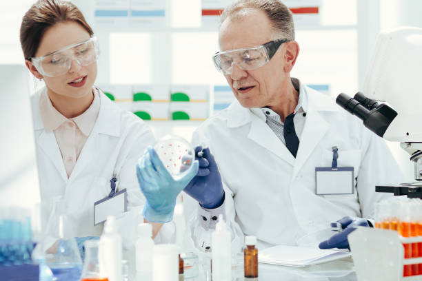 istock scientists discussing the development of bacteria in a Petri dish 1295985738