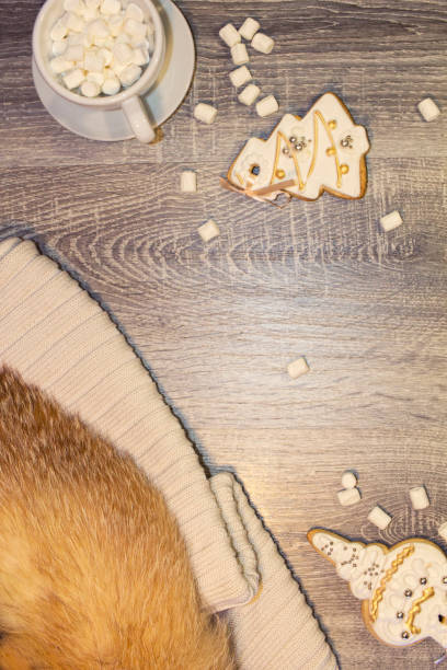 istock Gingerbread with Marshmallows, Plaid and Fur 1295988317