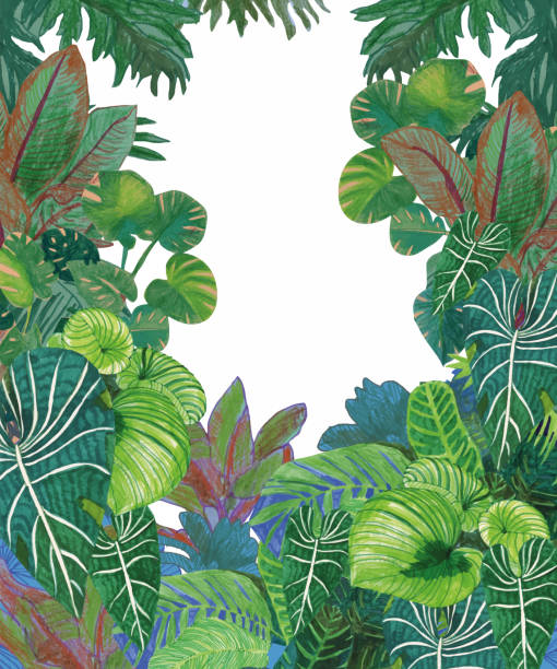 ilustrações de stock, clip art, desenhos animados e ícones de jungle plants - focus on background ilustrações