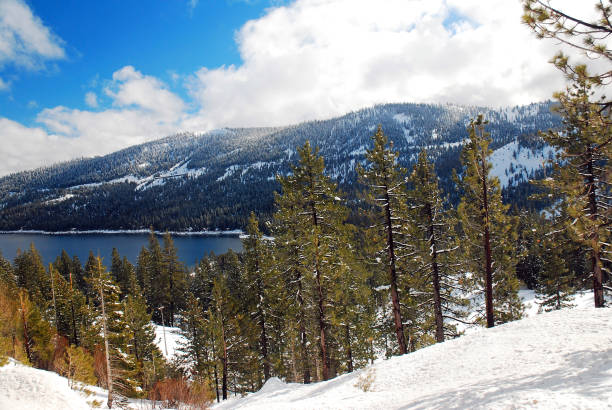 istock Winter landscape and lakeshore 1295990688
