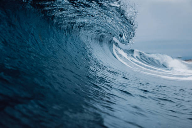 istock Crashing glassy wave. Breaking ocean wave, perfect swell for surfing 1295992026