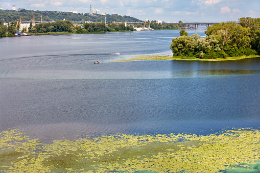 The picturesque natural landscape of the Dnipro River in the middle of summer with river lilies floating on the water in the foreground.