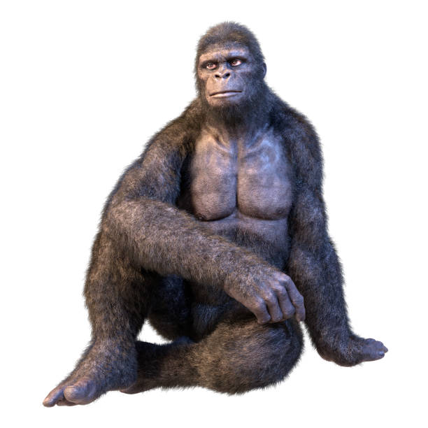 istock 3D illustration gorilla ape on white 1295992460