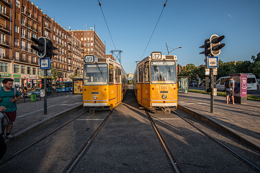 Budapest, Hungary - August 04 2019: Two trams at Deák Ferenc Square.
