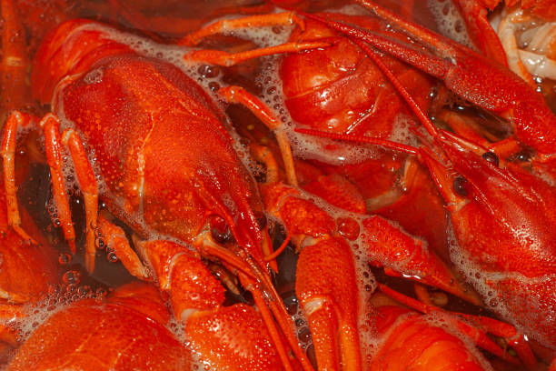 istock Red crayfish in boiling water. Close-up, selective focus. Cooking snacks. 1295995185